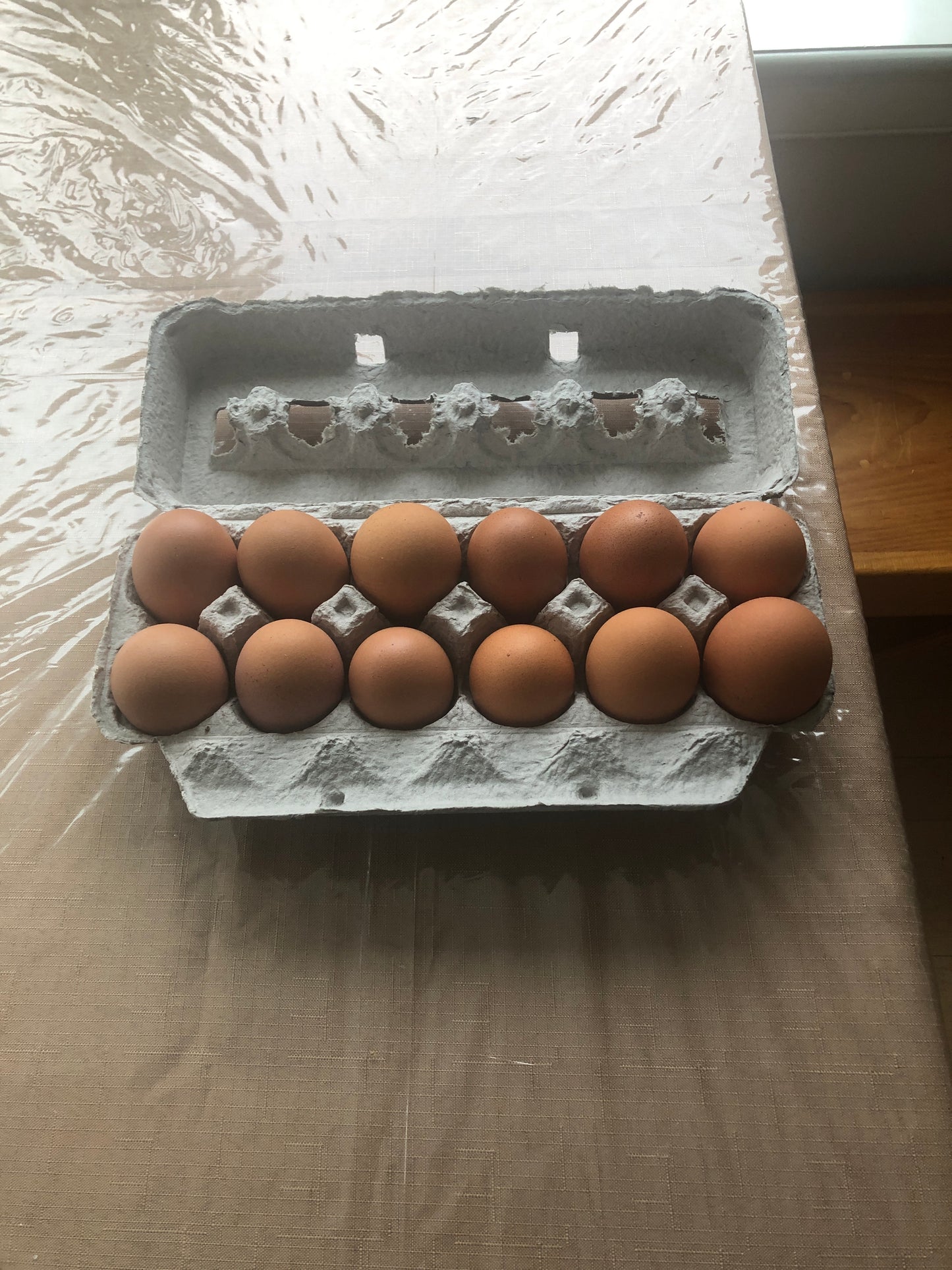 Egg CSA - one dozen eggs per week